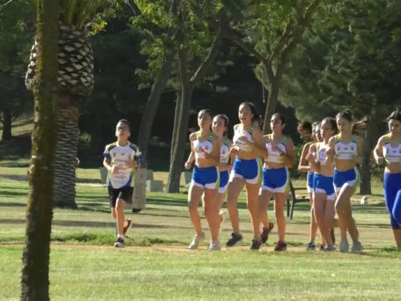 10 jóvenes corredoras del Club Atletismo Chipiona representan a la localidad este fin de semana en el Campeonato de Andalucia de atletismo sub 14.