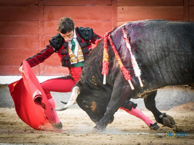 La firmeza de Robleño que saluda ovación