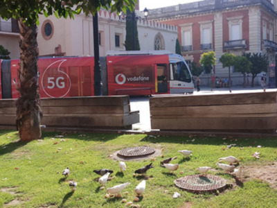 Dar de comer a palomas, en la vía pública, tiene una sanción económica que puede llegar a los 2.000 euros.