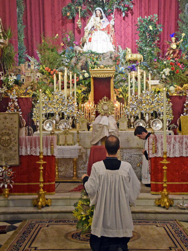 El canónico de la S.M.P.I. El Rvdo. Ángel Gabrieles, presidio y predicó el novenario a la Divina Pastora de Santa Marina.