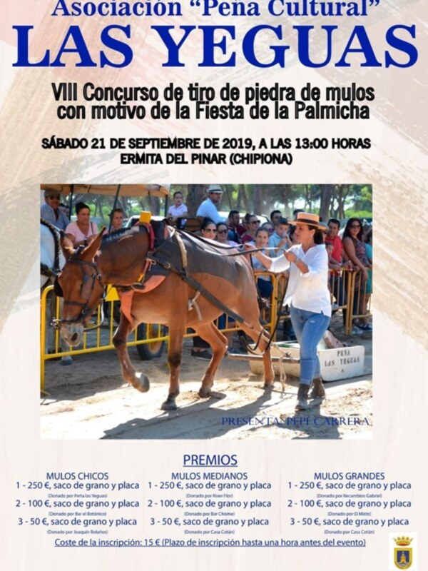 El próximo sábado se celebra la VIII edición del concurso de tiro de piedra de mulos