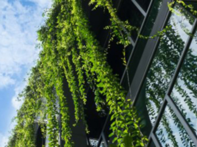 "Espacio Protegido" se ocupa esta semana de la arquitectura sostenible