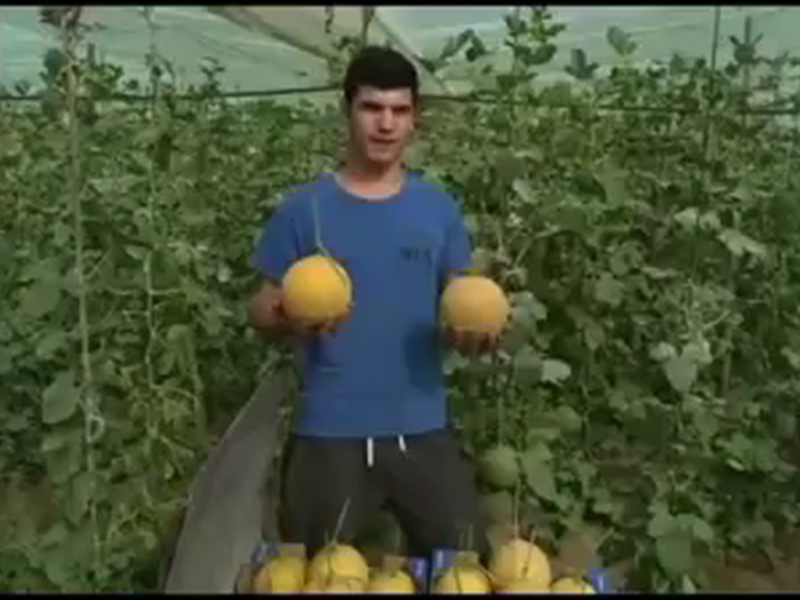 Agricultores de la zona lanzan un video para difundir la calidad de los productos hortícolas