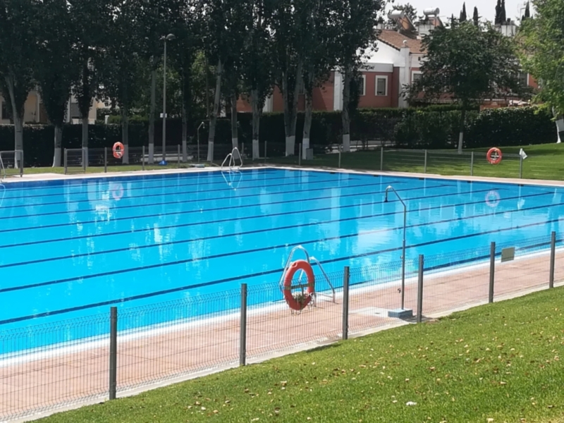 Una piscina de agua azul brillante rodeada por un muelle de metal y una cerca. Hay dos anillos salvavidas en el agua, una palmera y un edificio blanco con azotea roja al fondo. La escena está rodeada de árboles y vegetación, con un césped verde en la parte inferior.