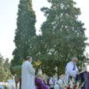 Misa de monseñor Asenjo en el cementerio de San Fernando de Sevilla