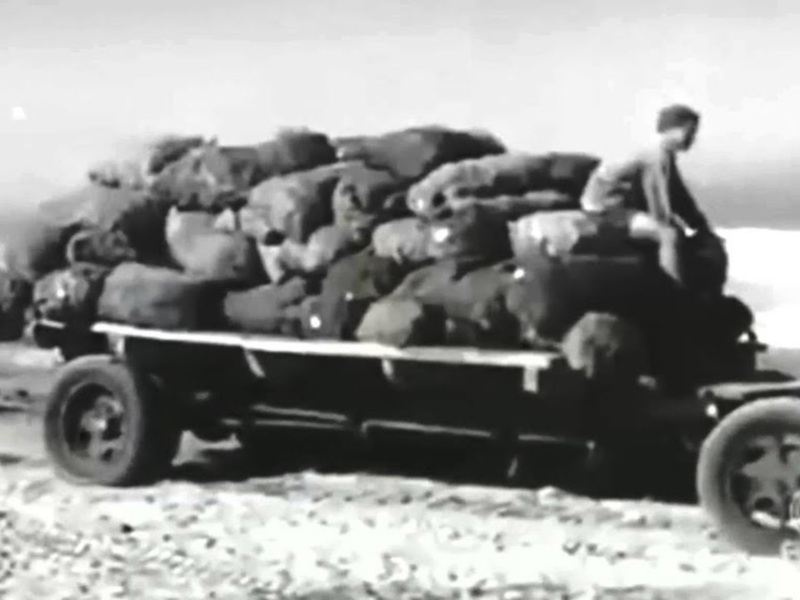 Un camión cargado con grandes sacos de trigo en una carretera desierta. La escena es en blanco y negro, sugiriendo un contexto histórico o antiguo.