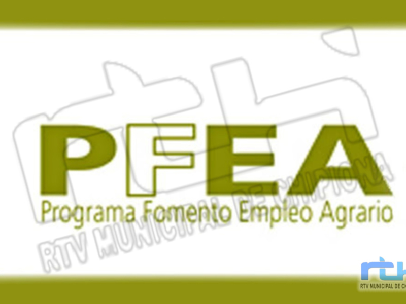 El Programa de Fomento de Empleo Agrario destina a Chipiona 805.410,69 € a proyectos que se desarrollen en el ejercicio 2021-2022