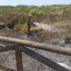 Un conato de incendio amenazó ayer el Centro de Interpretación de la Naturaleza y el Litoral El Camaleón 