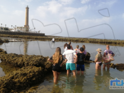 La Delegación de Turismo ha retomado esta semana las visitas guiadas a los corrales de pesquería de Chipiona 