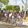 El paseo de caballo en la feria de Sevilla