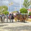 Paseo de caballo de la Feria de Abril