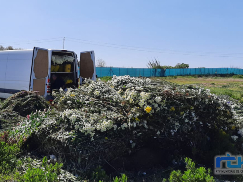 La Delegación de Agricultura informa novedades normativas que afectan a la de quema de residuos vegetales agrícolas