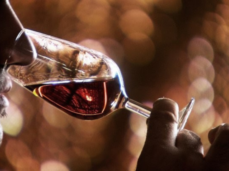 Visiones diferentes en torno al vino, en "Las catedrales del vino"