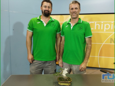 Cerca de cuarenta expositores presentarán sus creaciones este fin de semana en Chipiona en la quinta muestra 'Adictos al bonsái'