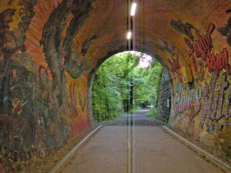 A lo largo del túnel, el poema de Stevenson va acompañado de ilustraciones de la flora y la fauna locales de Edimburgo