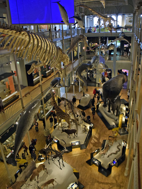 El Museo Nacional de Edimburgo es una exposición gratuita de visita obligada en la ciudad