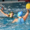 El Club Waterpolo Dos Hermanas PQS seguirá siendo de Primera