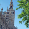 Mas del 10 % de la visitas a la Catedral y Giralda son ofrecida gratuitamente
