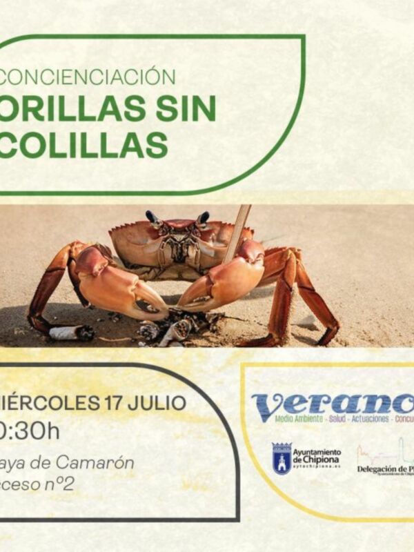 La playa de Camarón acoge mañana una actividad de concienciación denominada ‘Orillas sin colillas’
