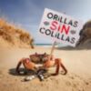 Finalizada la primera de las dos campañas de concienciación “Orilla sin colillas” que se organizan este verano en Chipiona.