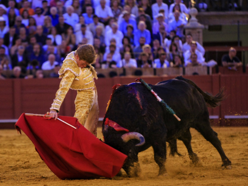 Borja Jiménez da una vuelta al ruedo tras una gran faena en la segunda de San Miguel