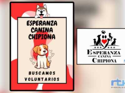 Esperanza Canina realiza un llamamiento urgente para solicitar colaboración de voluntarios