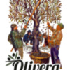Olvera vuelve a presumir de aceite de oliva los días 29 y 30 de marzo en ‘Olivera 2025’