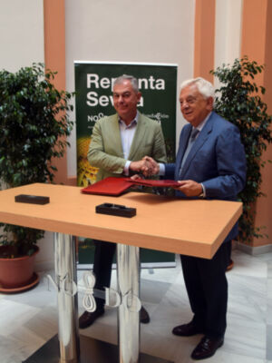  Sevilla lanza Replanta 2.0, ciudadanos y empresas podrán apadrinar árboles para combatir el cambio climático