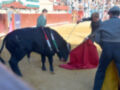Un toro negro con una muleta roja y verde en la boca, siendo manejado por dos toreros. La arena está llena de espectadores en el fondo, y los muros están decorados con colores.