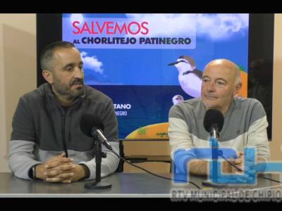 CANS pide colaboración ciudadana para una nueva campaña de protección del chorlitejo patinegro