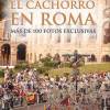 Libros de las Hermandades del Viernes Santo y Madrugada del Jueves 