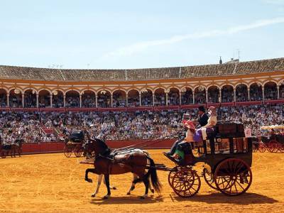 Ronda homenajeada en un desfile de elegancia y caballos que ilumina la Maestranza de Sevillanas