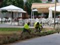 Parques y Jardines intensifica la puesta a punto de las zonas verdes para la Feria de Consolación 2026