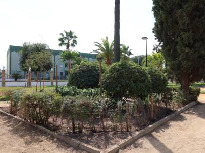 Nuevas plantaciones en el Parque de Consolación de Utrera.